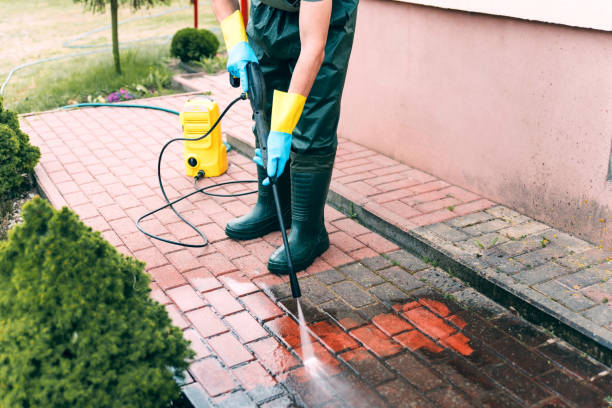 Best Building Exterior Washing  in Strafford, MO